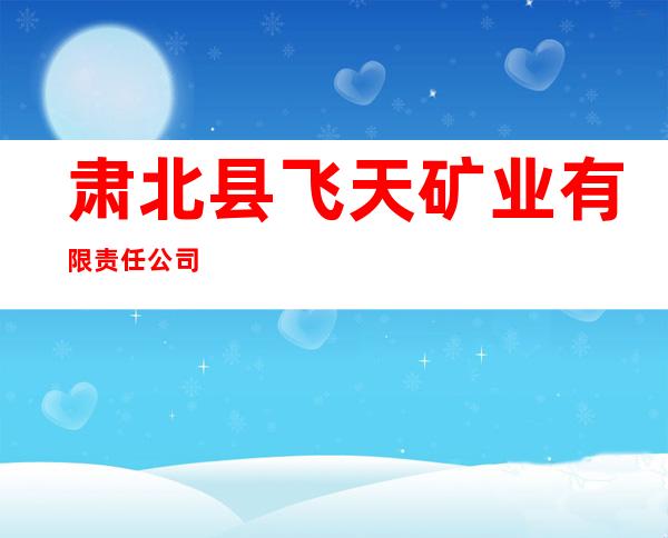肃北县飞天矿业有限责任公司